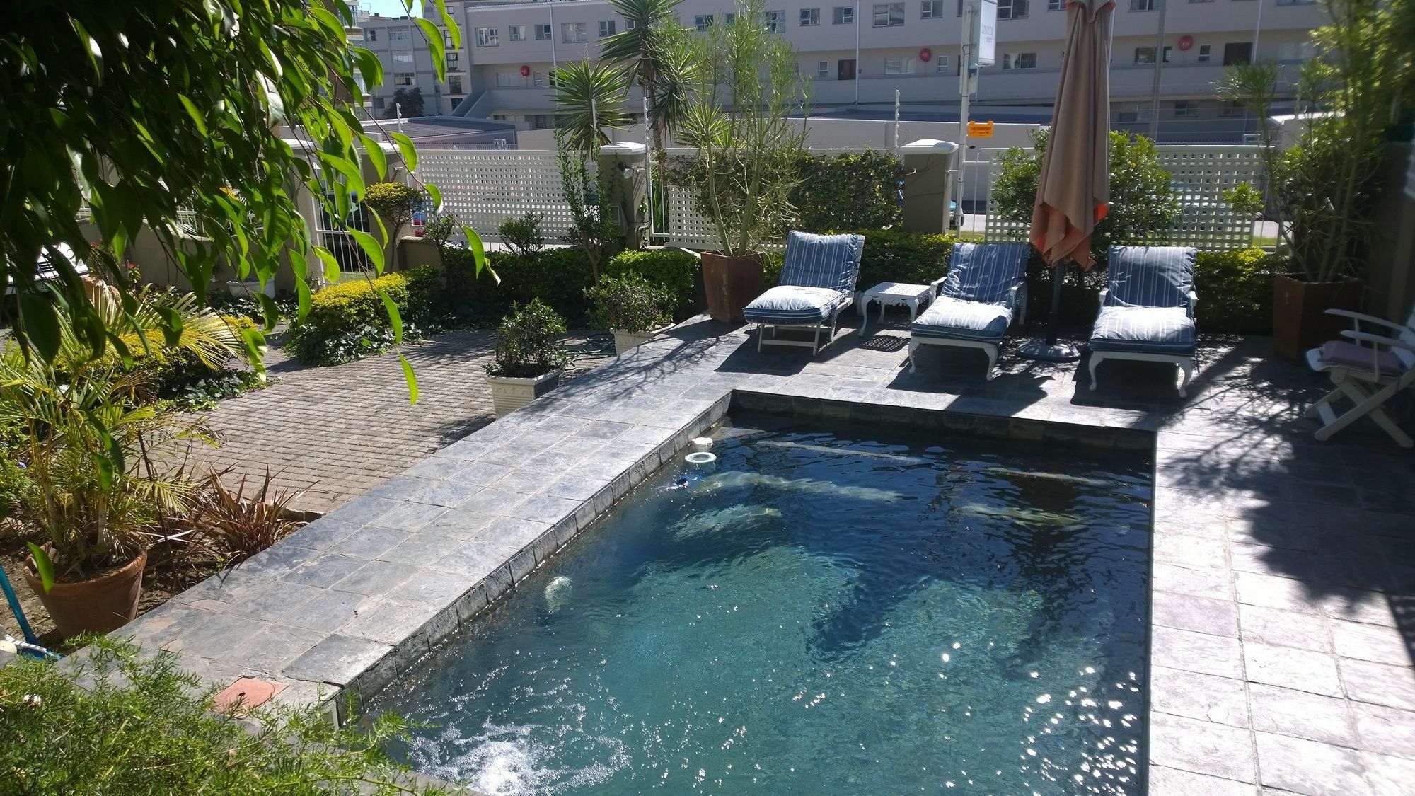 Conifer Beach House Порт Елизабет Екстериор снимка